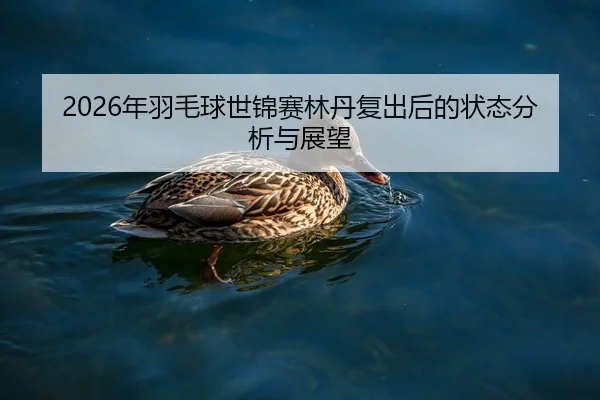 2026年羽毛球世锦赛林丹复出后的状态分析与展望