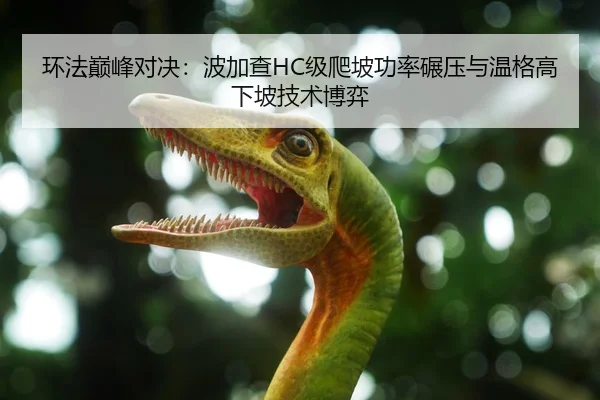 环法巅峰对决：波加查HC级爬坡功率碾压与温格高下坡技术博弈