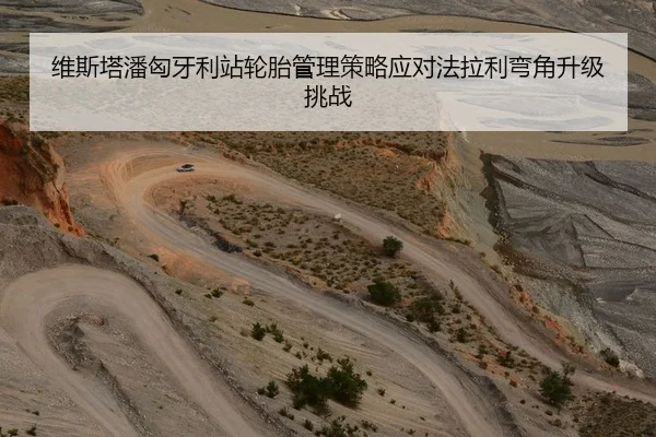维斯塔潘匈牙利站轮胎管理策略应对法拉利弯角升级挑战