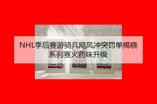 NHL季后赛游骑兵飓风冲突罚单揭晓 系列赛火药味升级